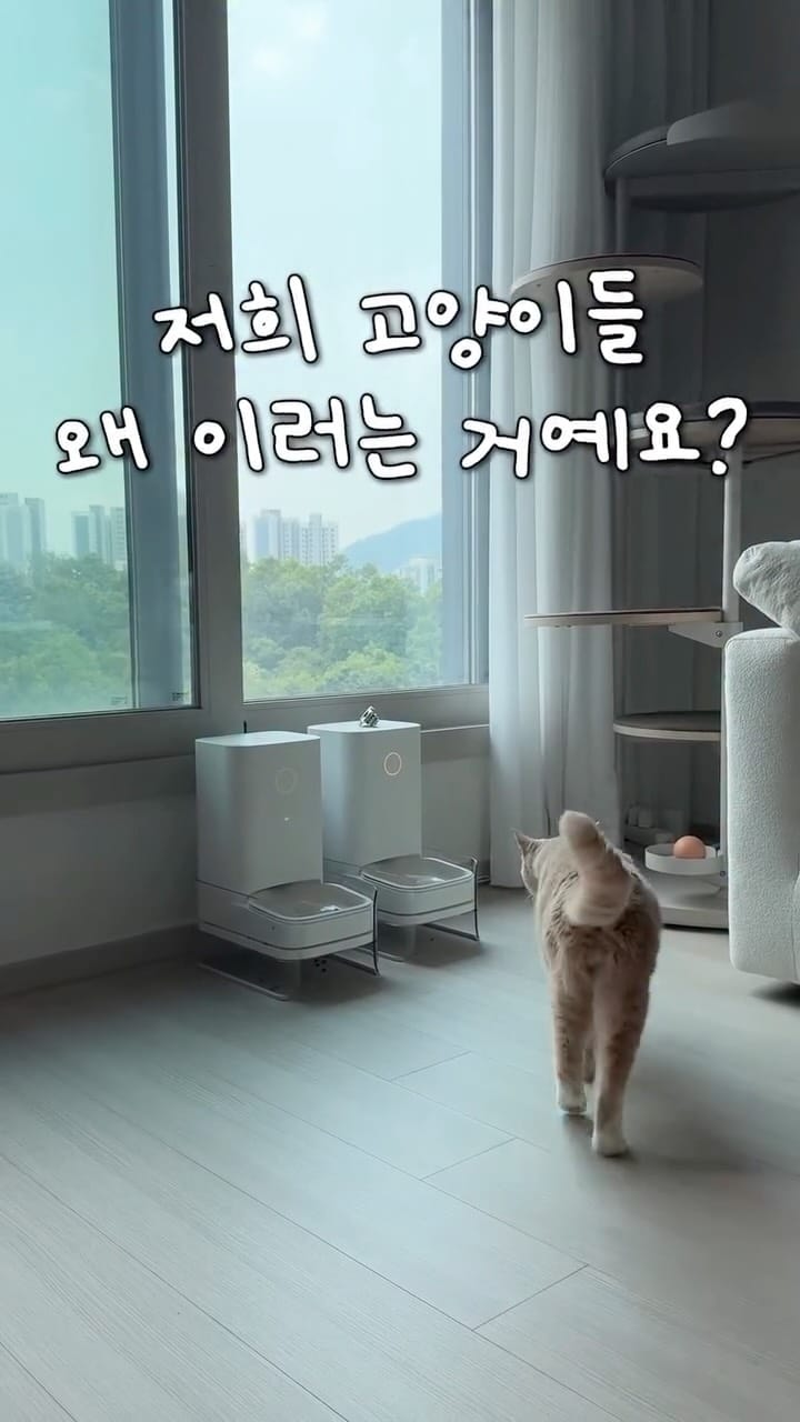 Post 2 by 양옹금옹실 on Instagram (video)