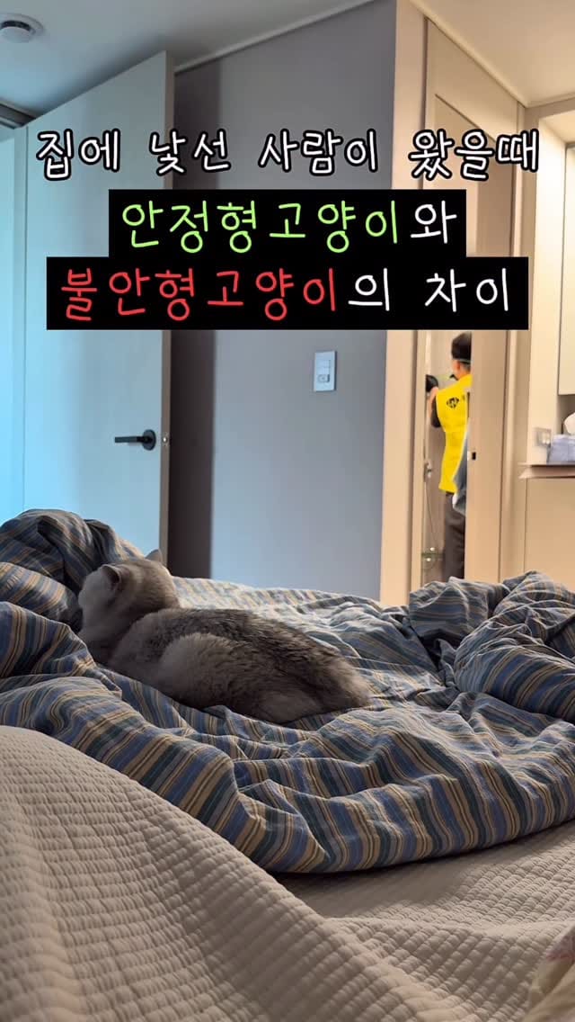 Post 6 by 양옹금옹실 on Instagram (video)