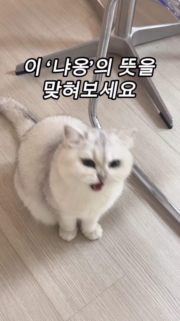 Post 1 by 양옹금옹실 on Instagram (video)