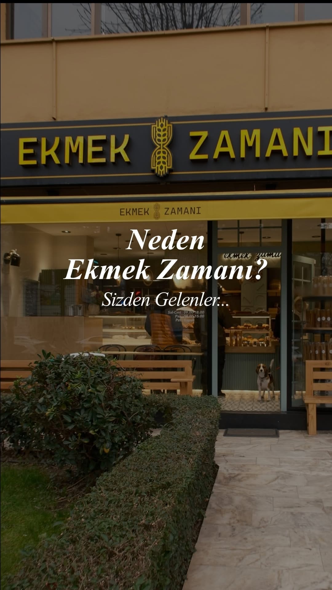 Post 8 by Ekmek Zamani by Berna Er on Instagram (video)