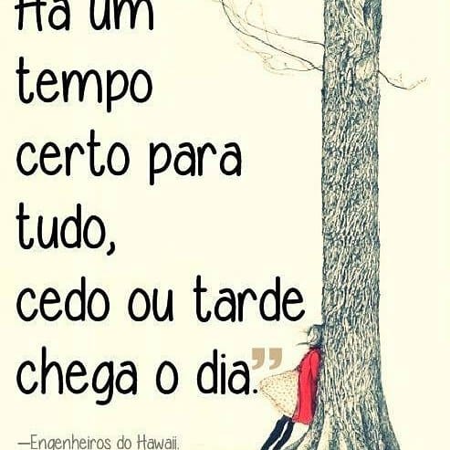 Post 6 by douglas de souza barbosa on Instagram (image)
