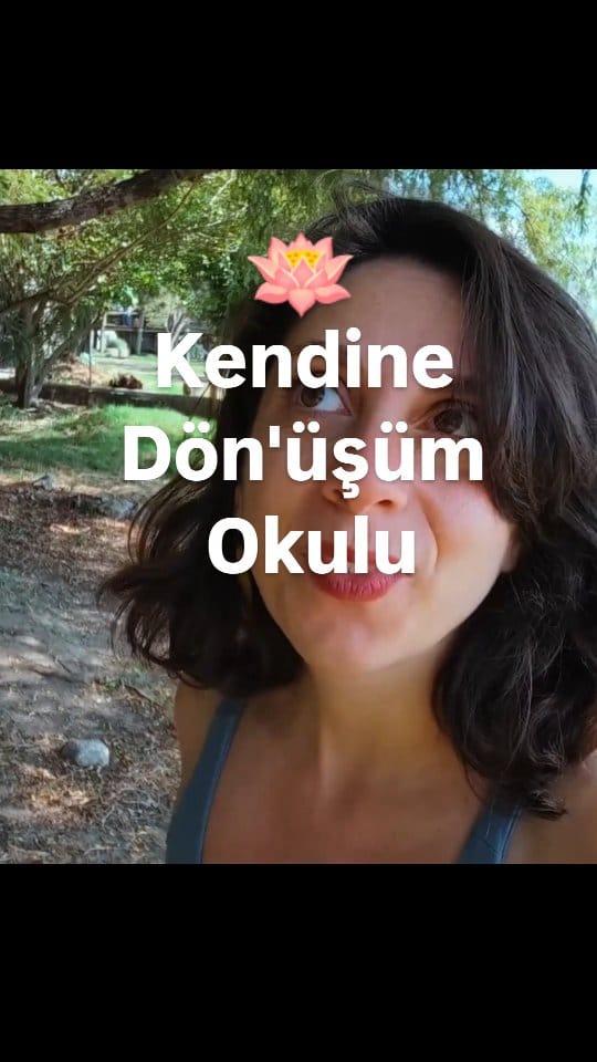Post 9 by N. İrem Erdem Cimbrelius • Psychoalchemist on Instagram (video)