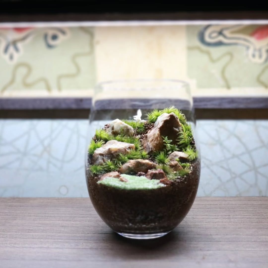 Post 8 by いぶきGREEN 〜植物と共に過ごす日々を〜 on Instagram (carousel)