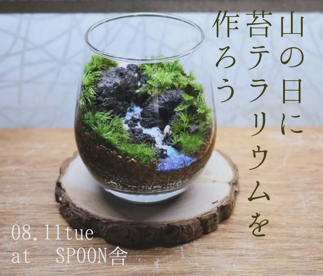 Post 2 by いぶきGREEN 〜植物と共に過ごす日々を〜 on Instagram (image)