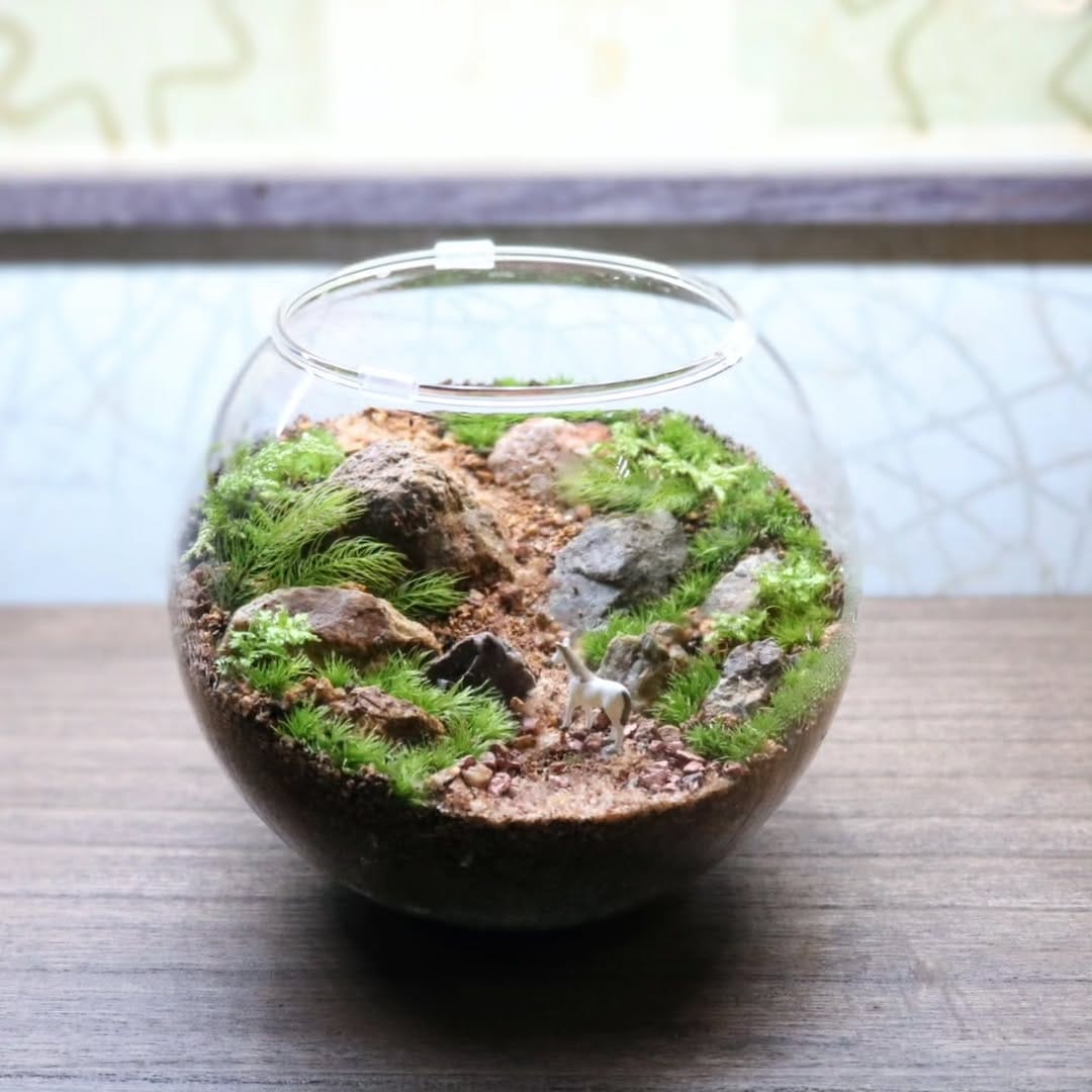 Post 3 by いぶきGREEN 〜植物と共に過ごす日々を〜 on Instagram (carousel)