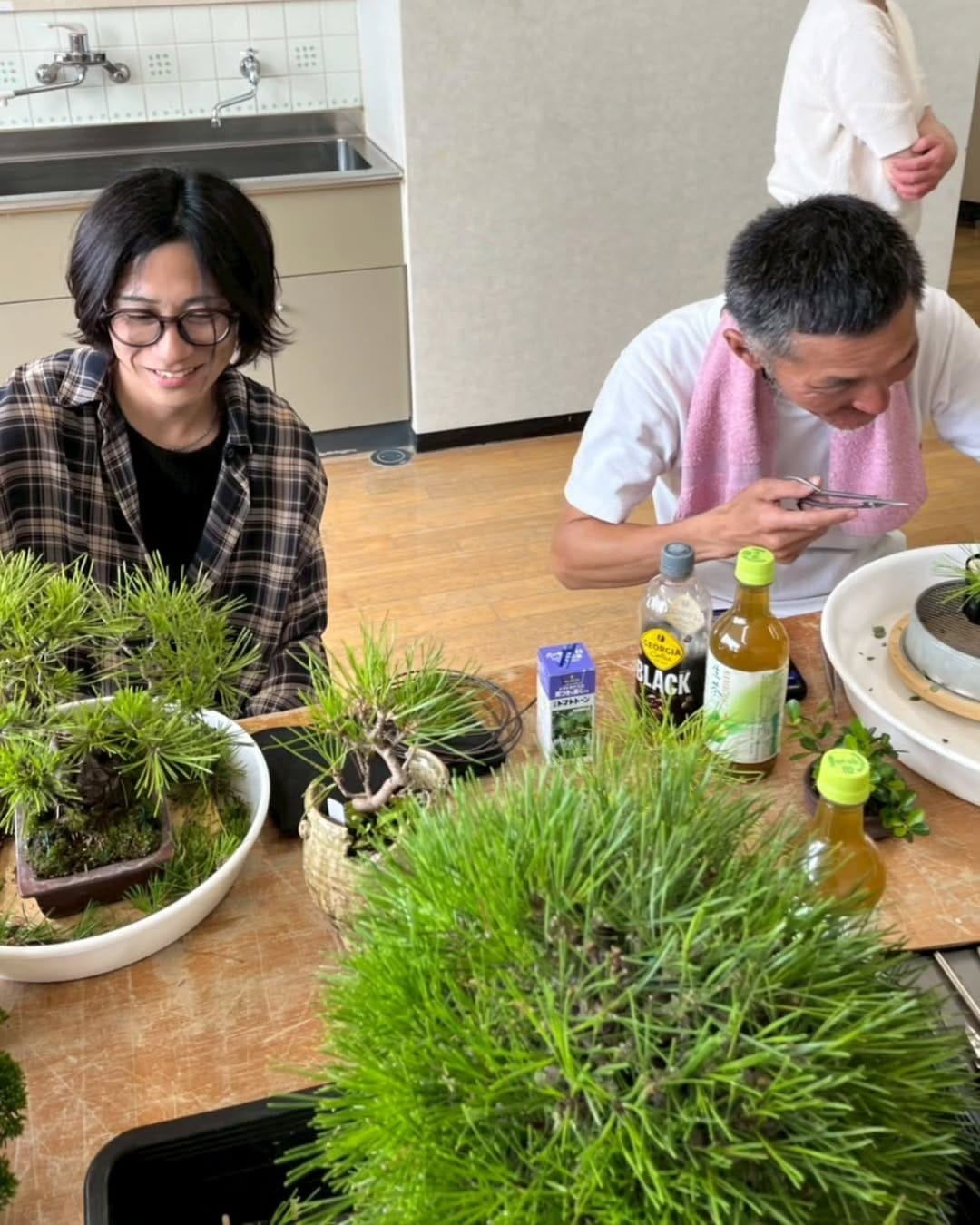 Post 1 by いぶきGREEN 〜植物と共に過ごす日々を〜 on Instagram (carousel)