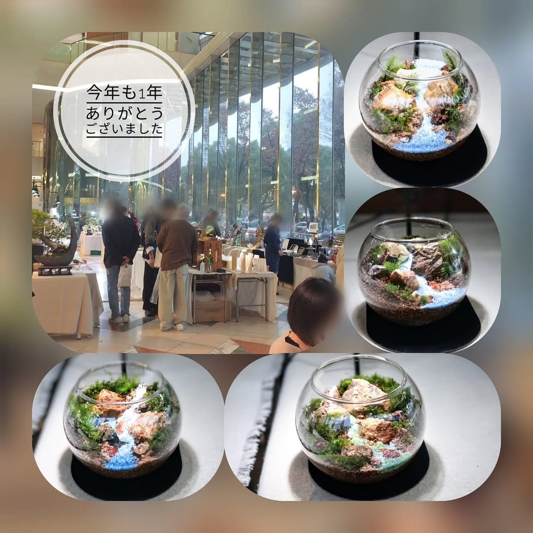 Post 10 by いぶきGREEN 〜植物と共に過ごす日々を〜 on Instagram (carousel)