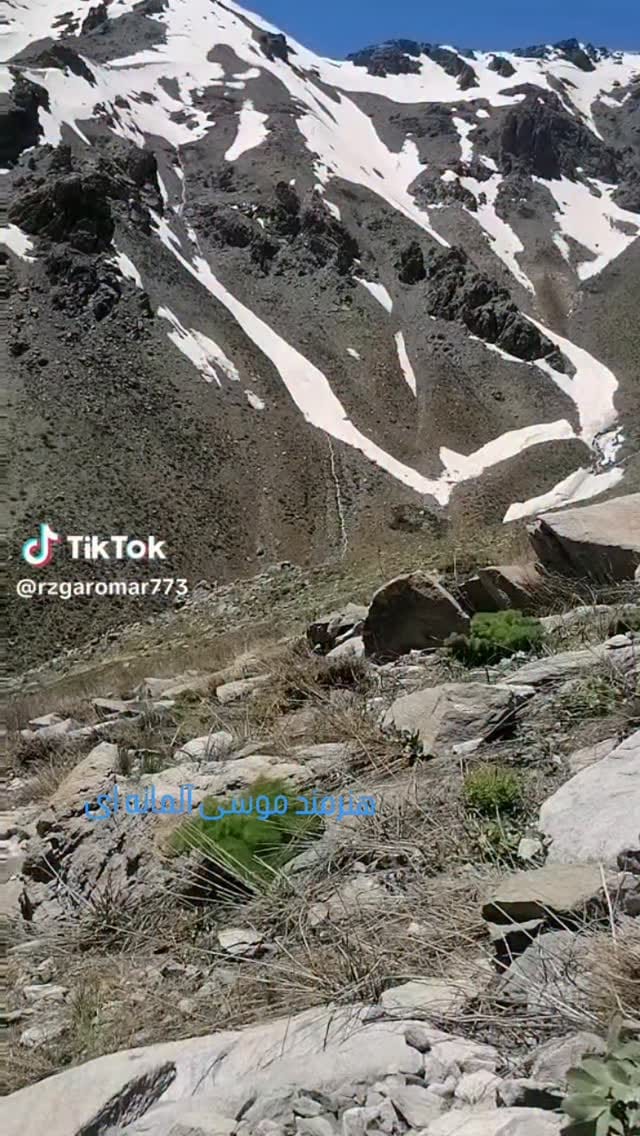 Post 3 by موسی آلمانه ای on Instagram (video)