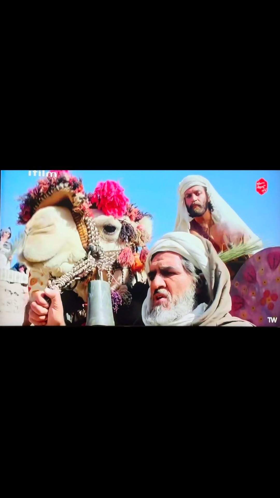 Post 1 by Sanaz Saeedi | ساناز سعیدی on Instagram (video)