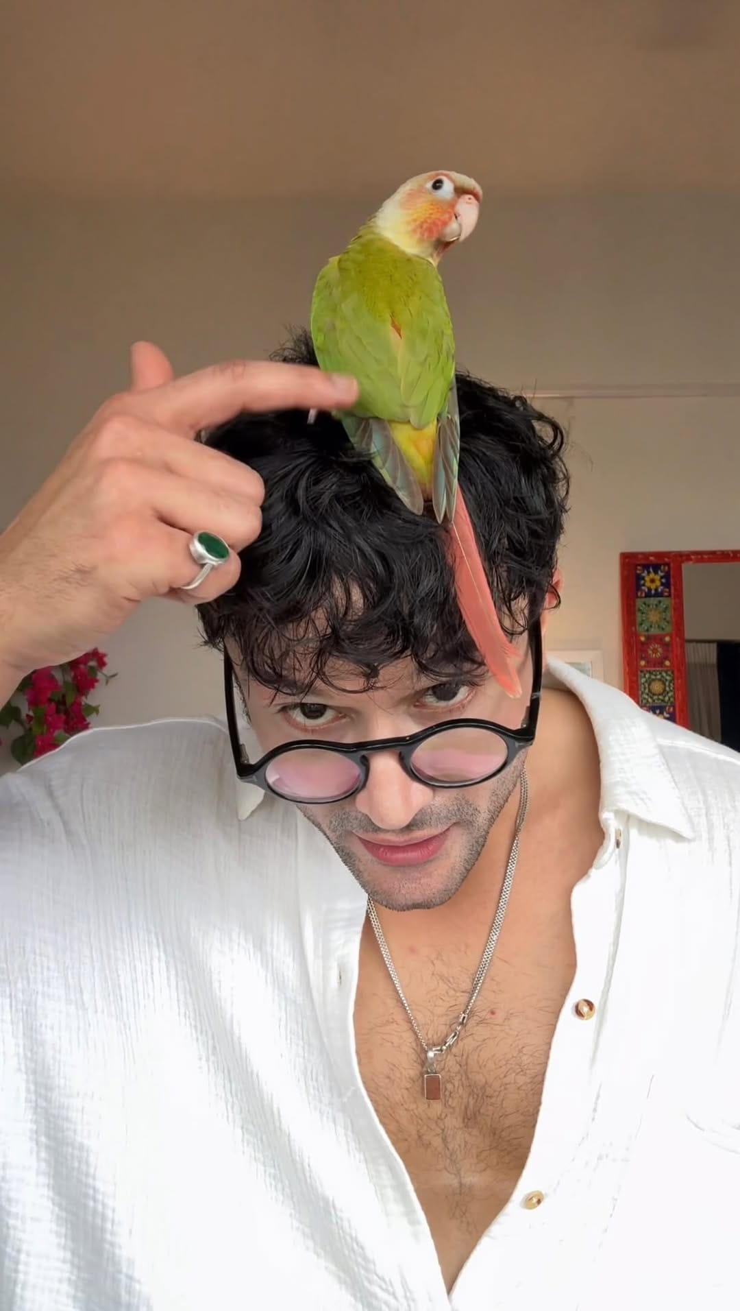 Post 3 by Sahil Salathia on Instagram (video)