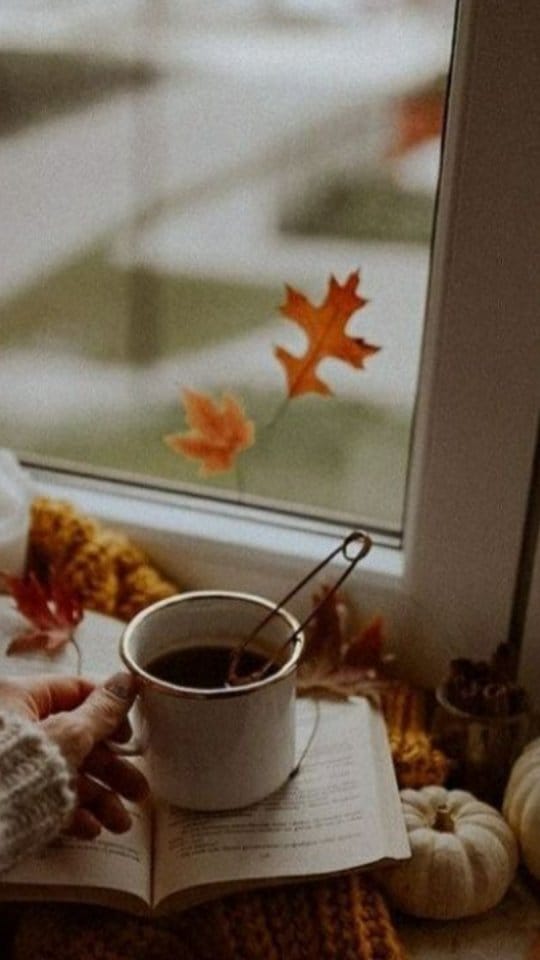 Post 5 by ثنا صدفی | Sana Sadafi on Instagram (video)