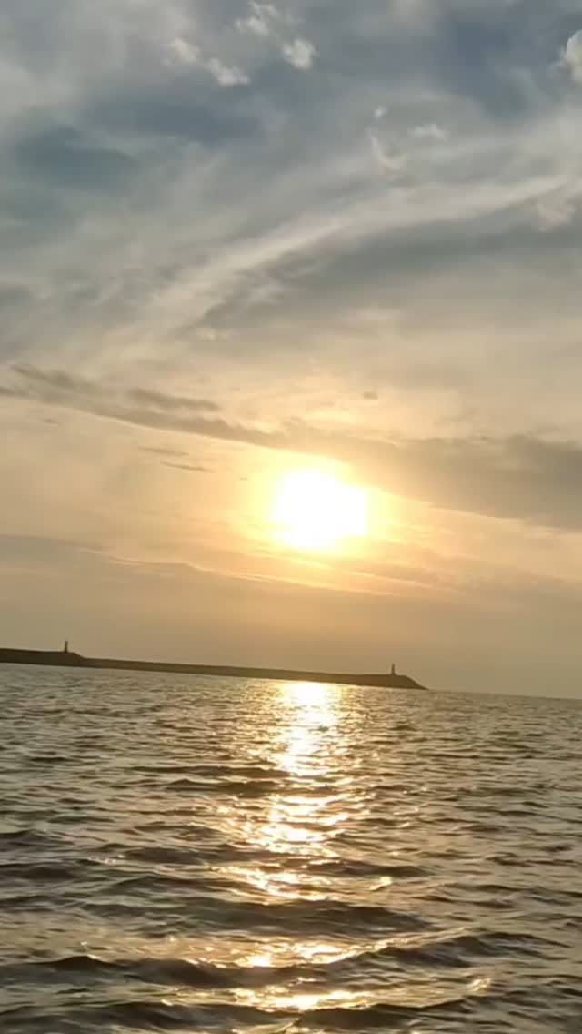 Post 1 by Hamid Taghavi | حمید تقوی on Instagram (video)