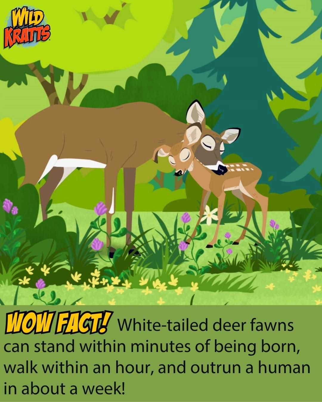 Post 10 by Wild Kratts on Instagram (image)