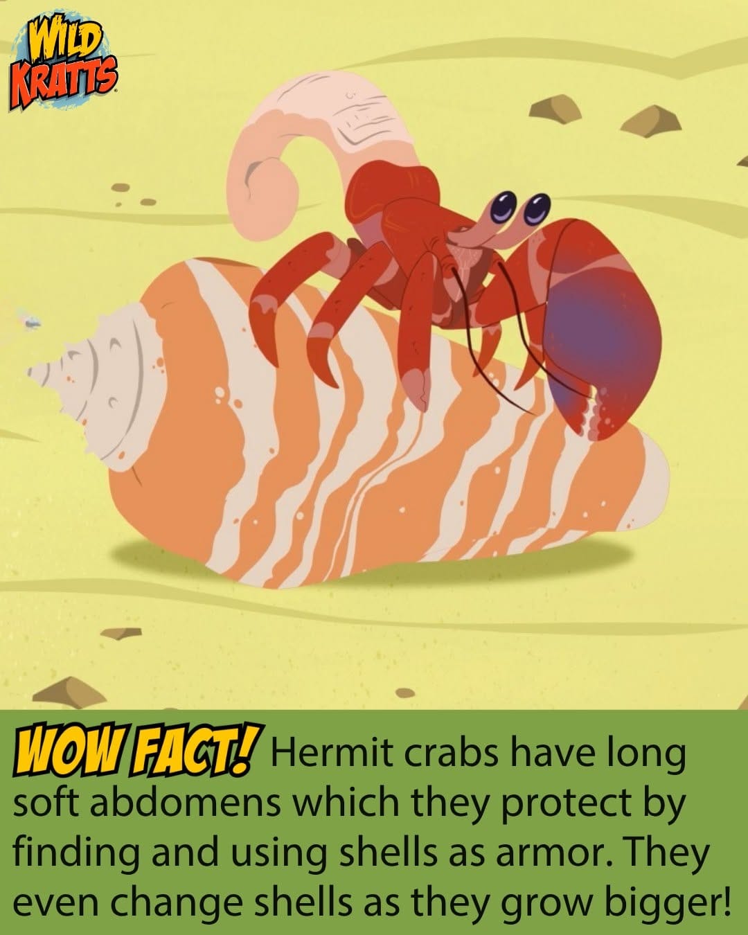 Post 4 by Wild Kratts on Instagram (image)