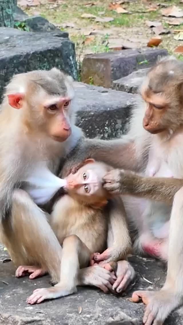 Post 3 by Seda Diri Ilic on Instagram (video)