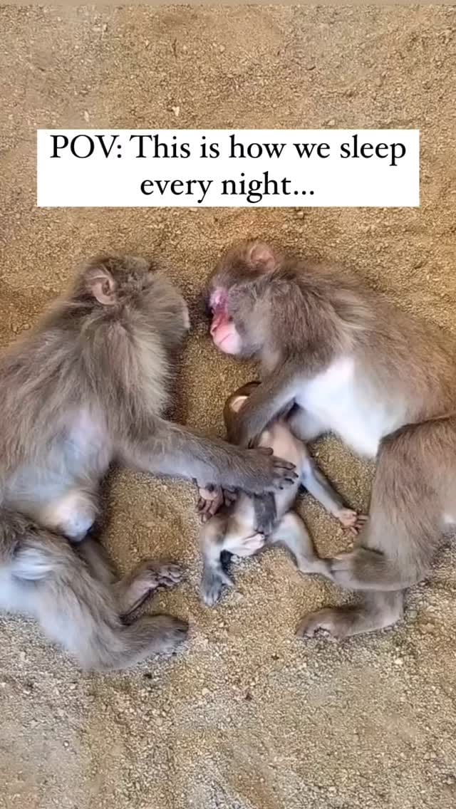 Post 5 by Seda Diri Ilic on Instagram (video)