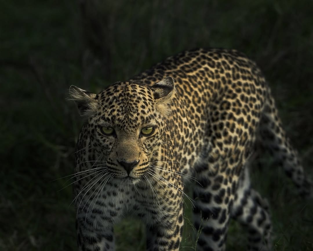 Post 2 by Trent Blomfield on Instagram (image)