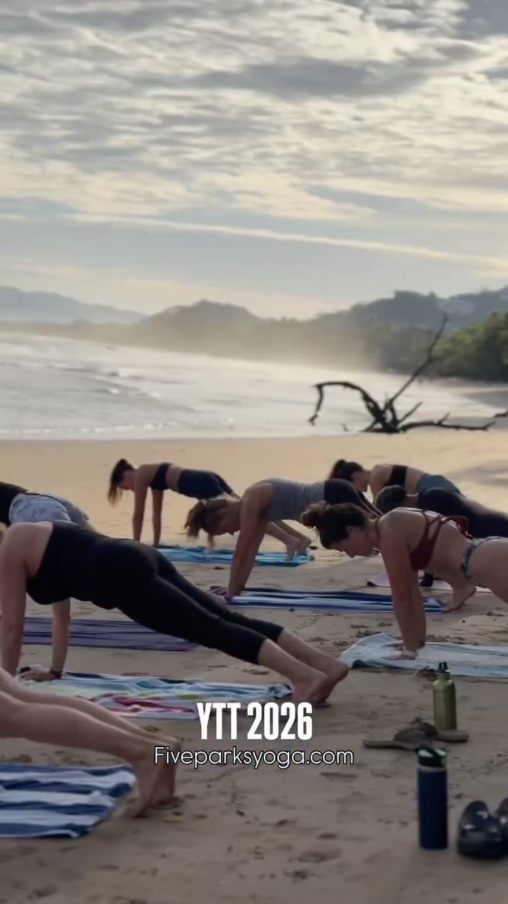 Post 9 by Five Parks Yoga w Erin Sampson on Instagram (video)