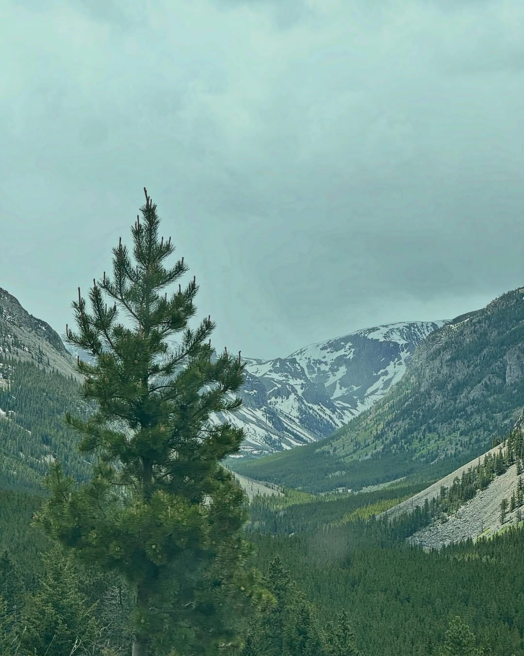 Post 8 by Zack McGinn on Instagram (image)