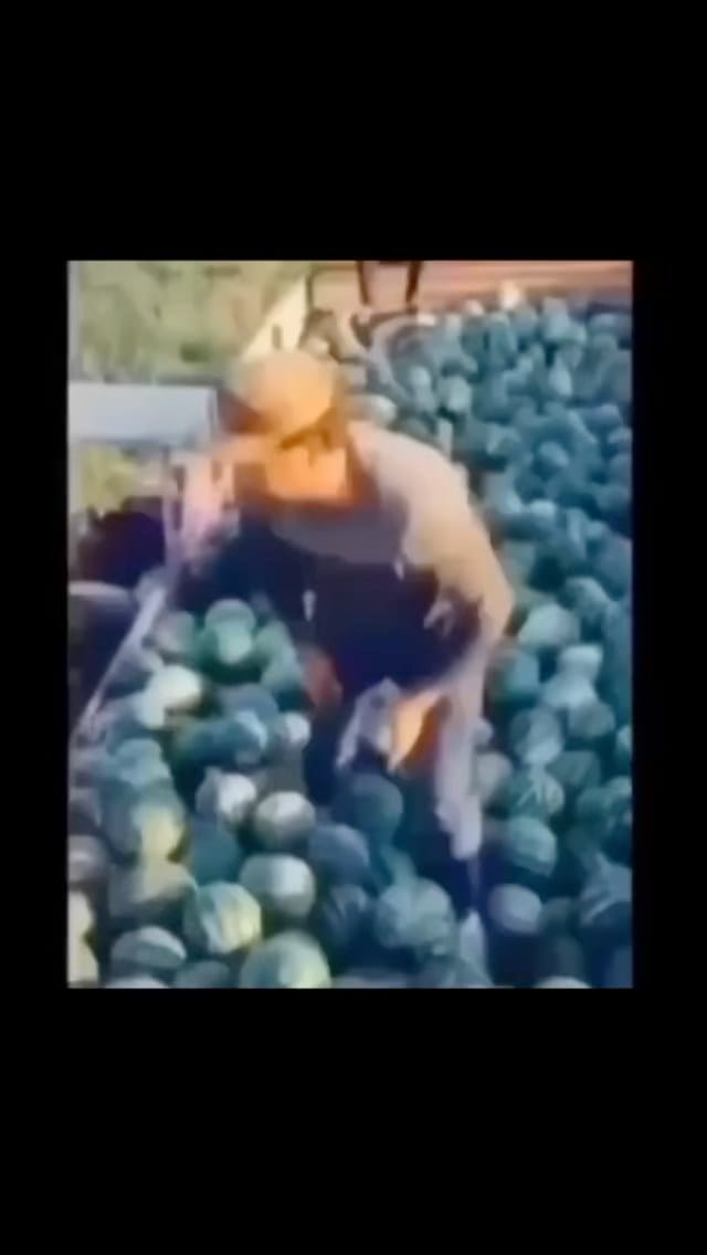 Post 5 by ElMomeroOfficial on Instagram (video)