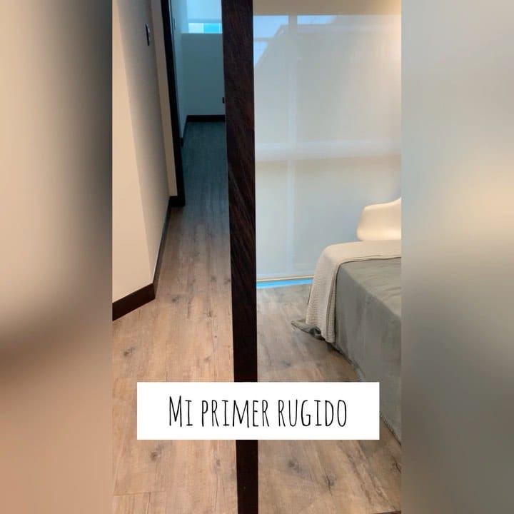 Post 10 by Golden Doggito on Instagram (video)
