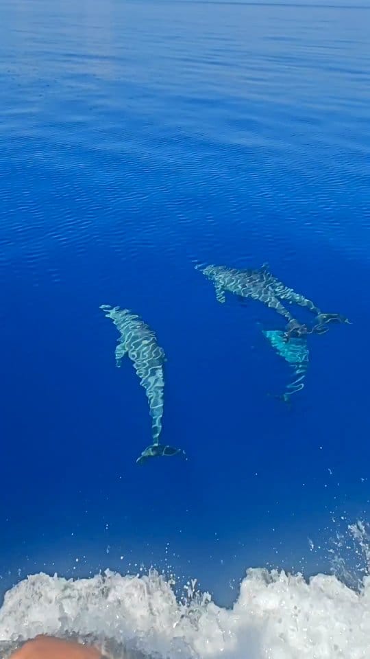 Post 10 by Rohan Bhalla on Instagram (video)