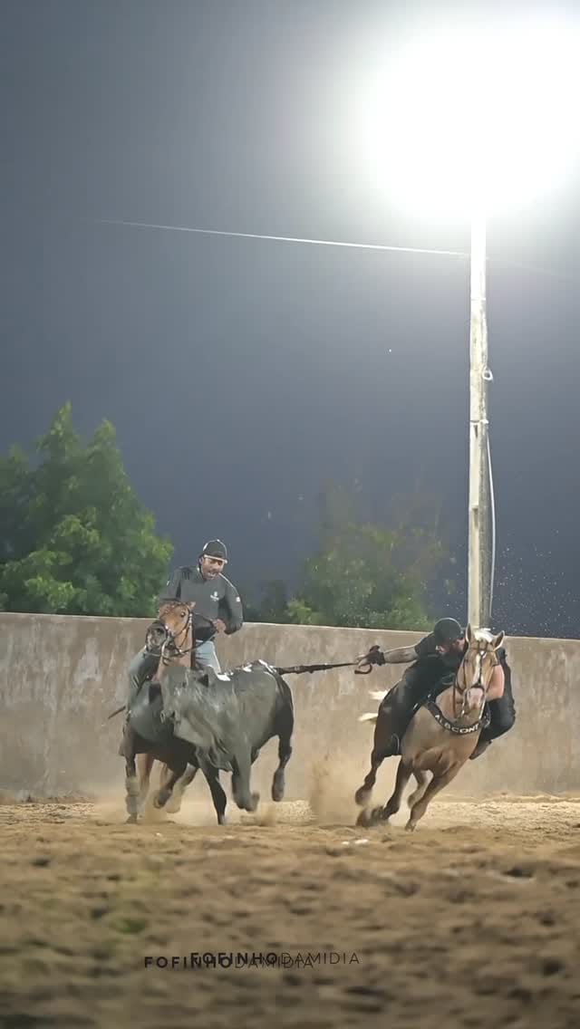 Post 4 by ꧁ Ninho Ranch ꧂ on Instagram (video)
