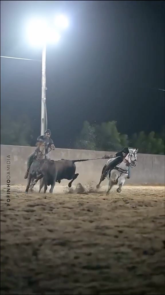 Post 6 by ꧁ Ninho Ranch ꧂ on Instagram (video)