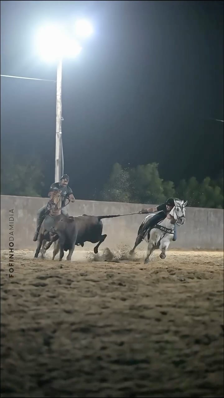 Post 7 by ꧁ Ninho Ranch ꧂ on Instagram (video)