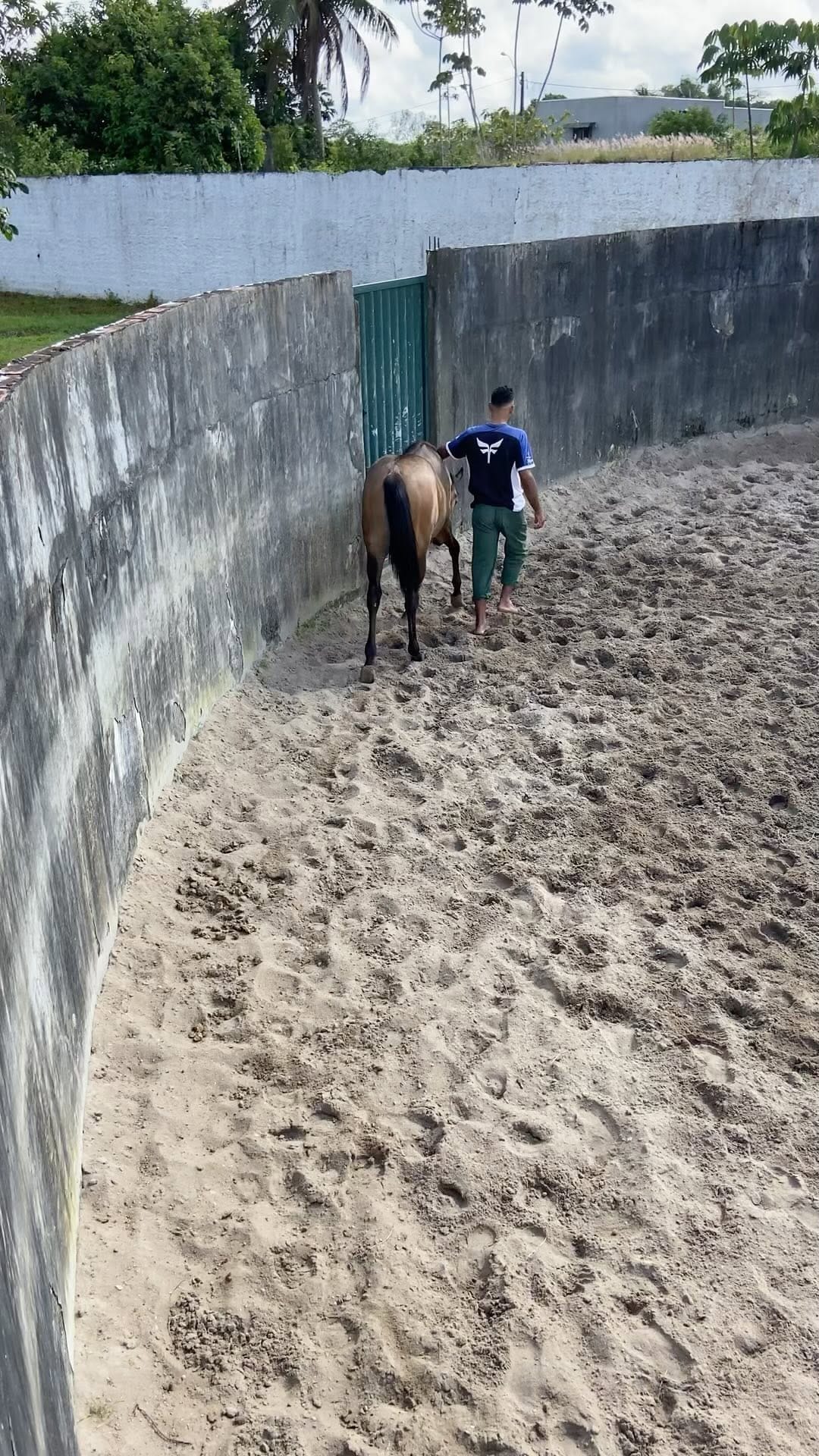 Post 10 by ꧁ Ninho Ranch ꧂ on Instagram (video)