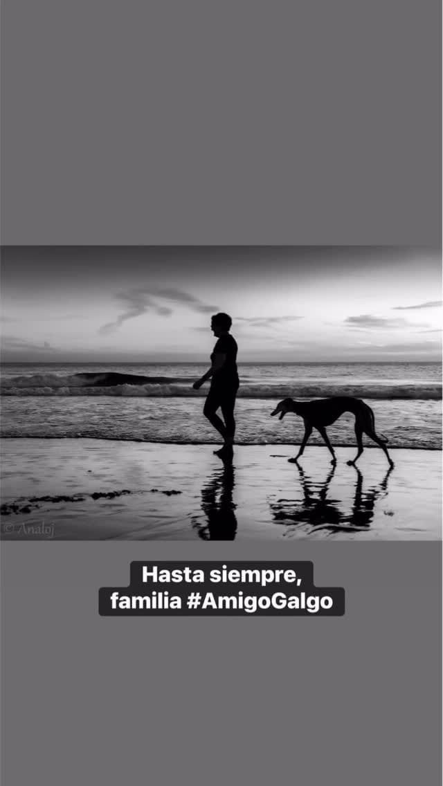 Post 1 by AMIGOGALGO on Instagram (video)