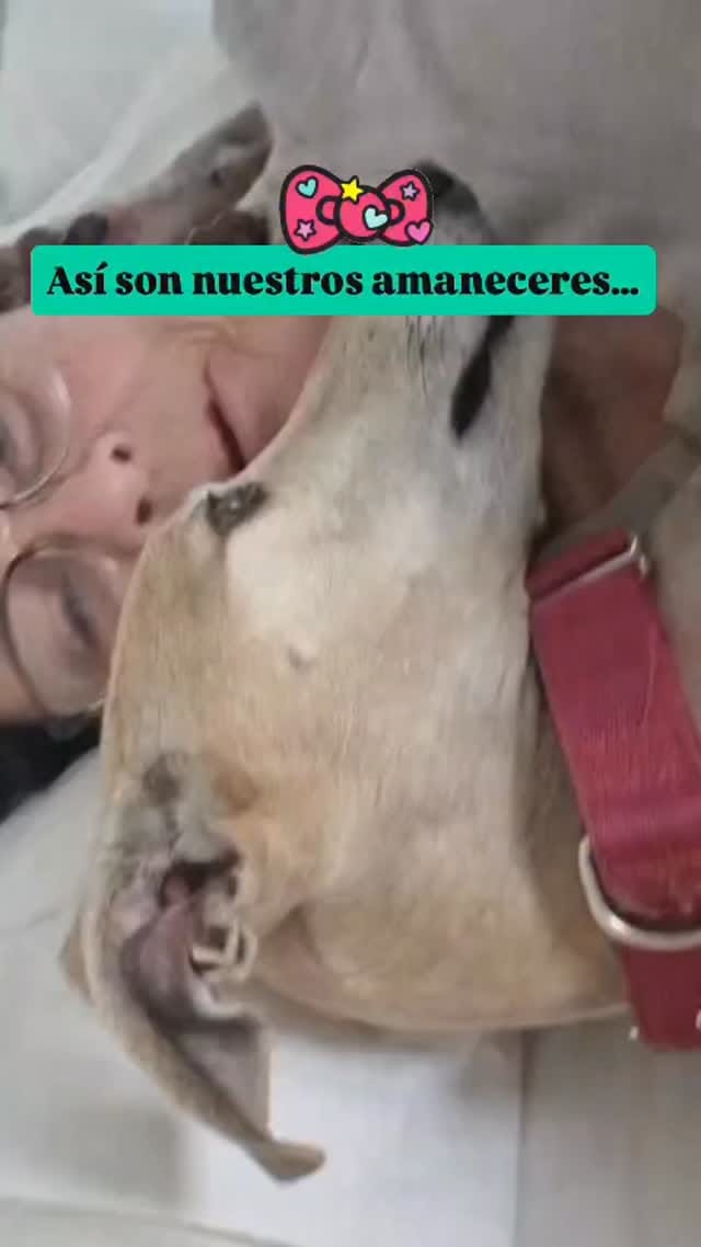 Post 4 by AMIGOGALGO on Instagram (video)
