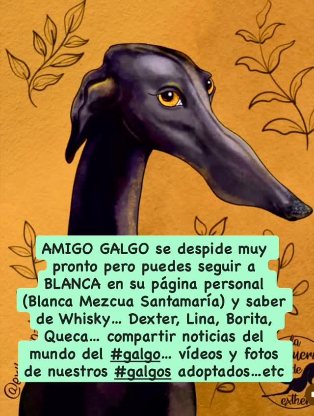 Post 5 by AMIGOGALGO on Instagram (video)