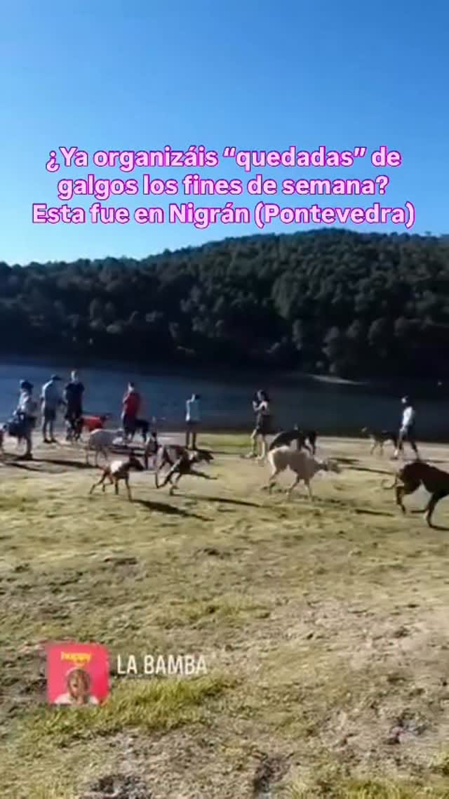 Post 10 by AMIGOGALGO on Instagram (video)