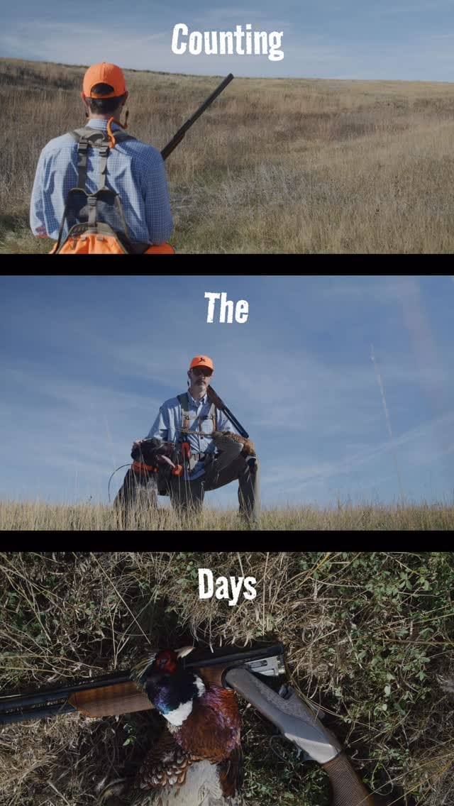 Post 10 by Pheasants Forever - Official on Instagram (video)