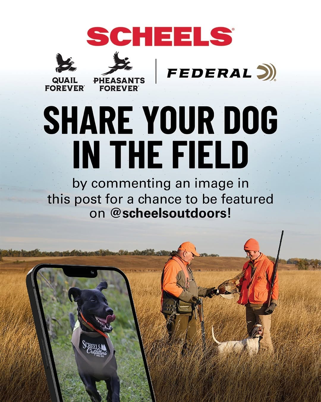 Post 6 by Pheasants Forever - Official on Instagram (image)