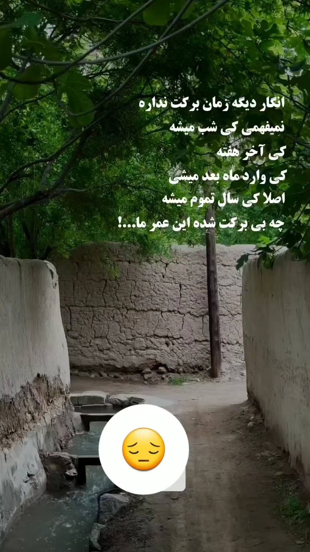 Post 5 by Masoud Hormozi on Instagram (video)