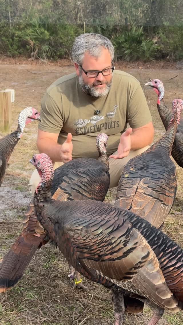 Post 9 by UF Game Lab on Instagram (video)