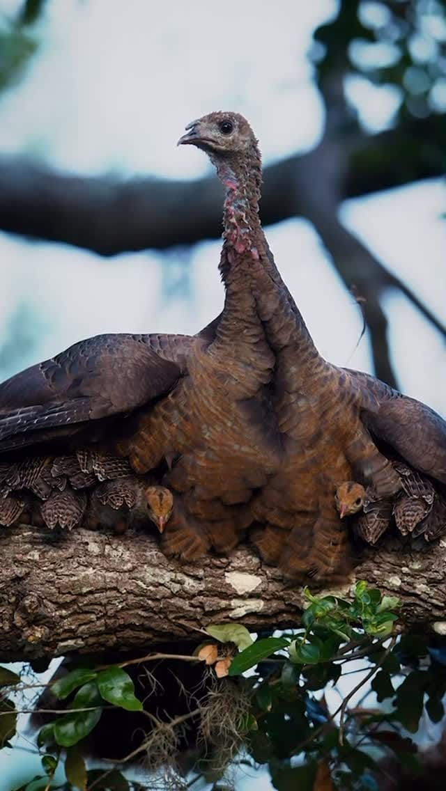 Post 10 by UF Game Lab on Instagram (video)