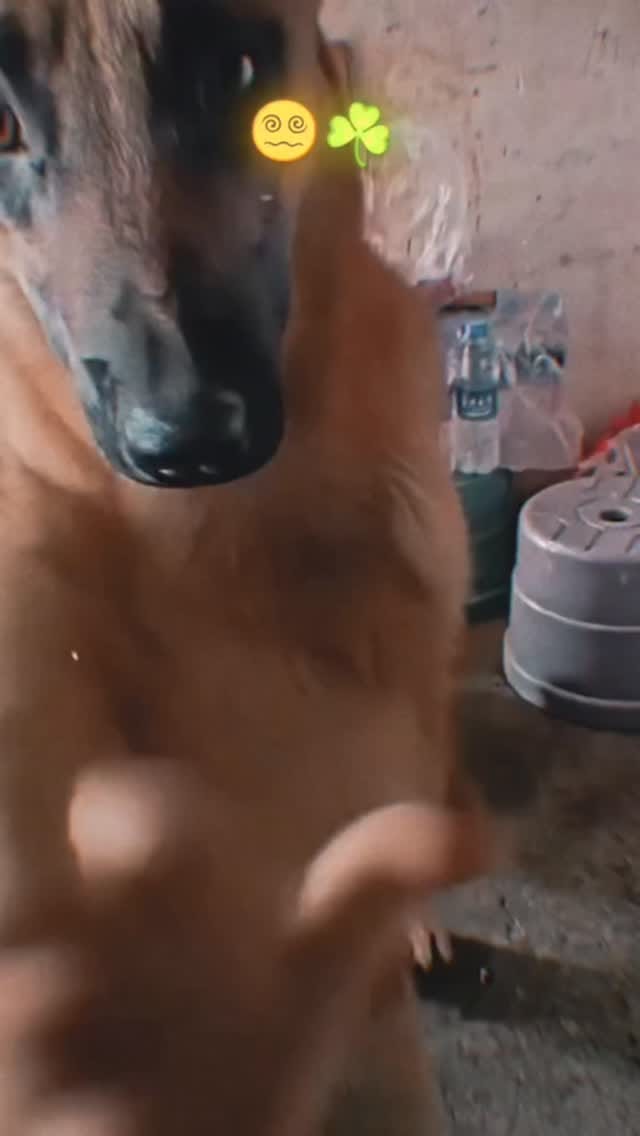 Post 2 by can we laugh on Instagram (video)