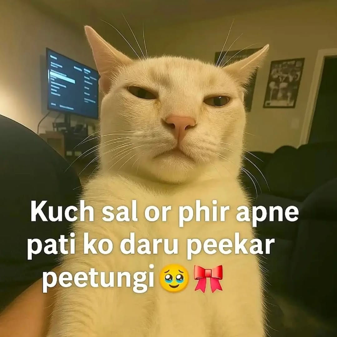 Post 1 by can we laugh on Instagram (image)