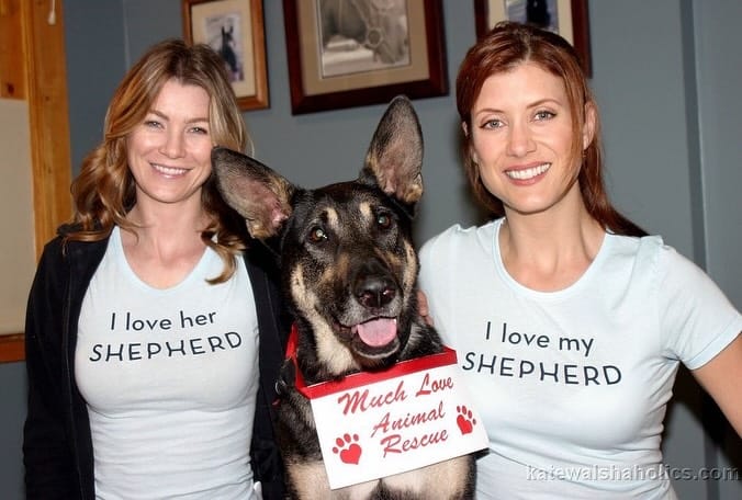 Post 8 by Ellen Pompeo Source on Instagram (carousel)