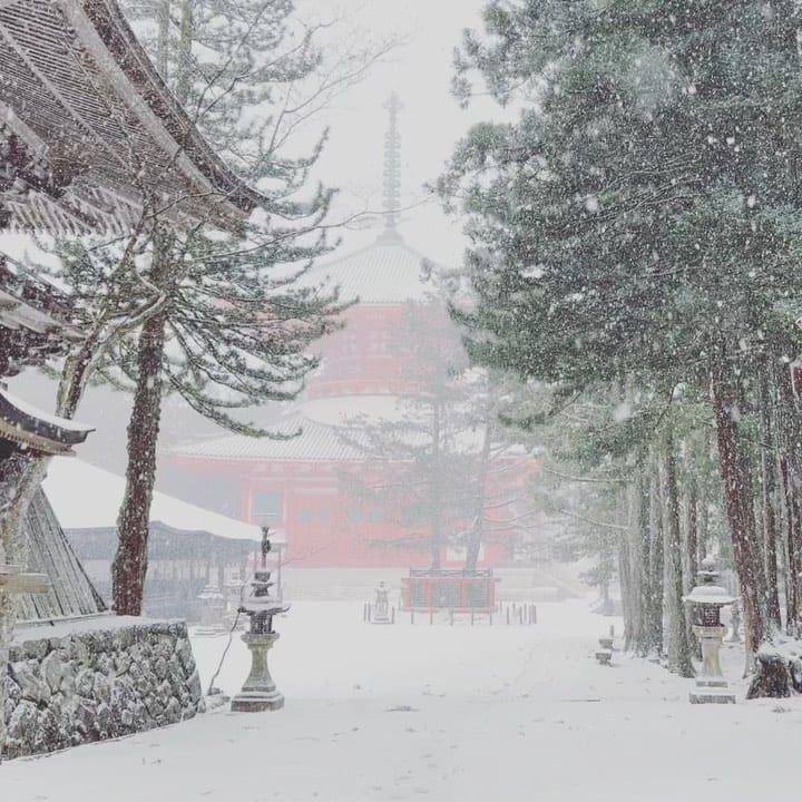 Post 10 by 高野山ぐらむ⛰ 𝓚𝓸𝔂𝓪𝓼𝓪𝓷 𝓰𝓻𝓪𝓶 on Instagram (video)