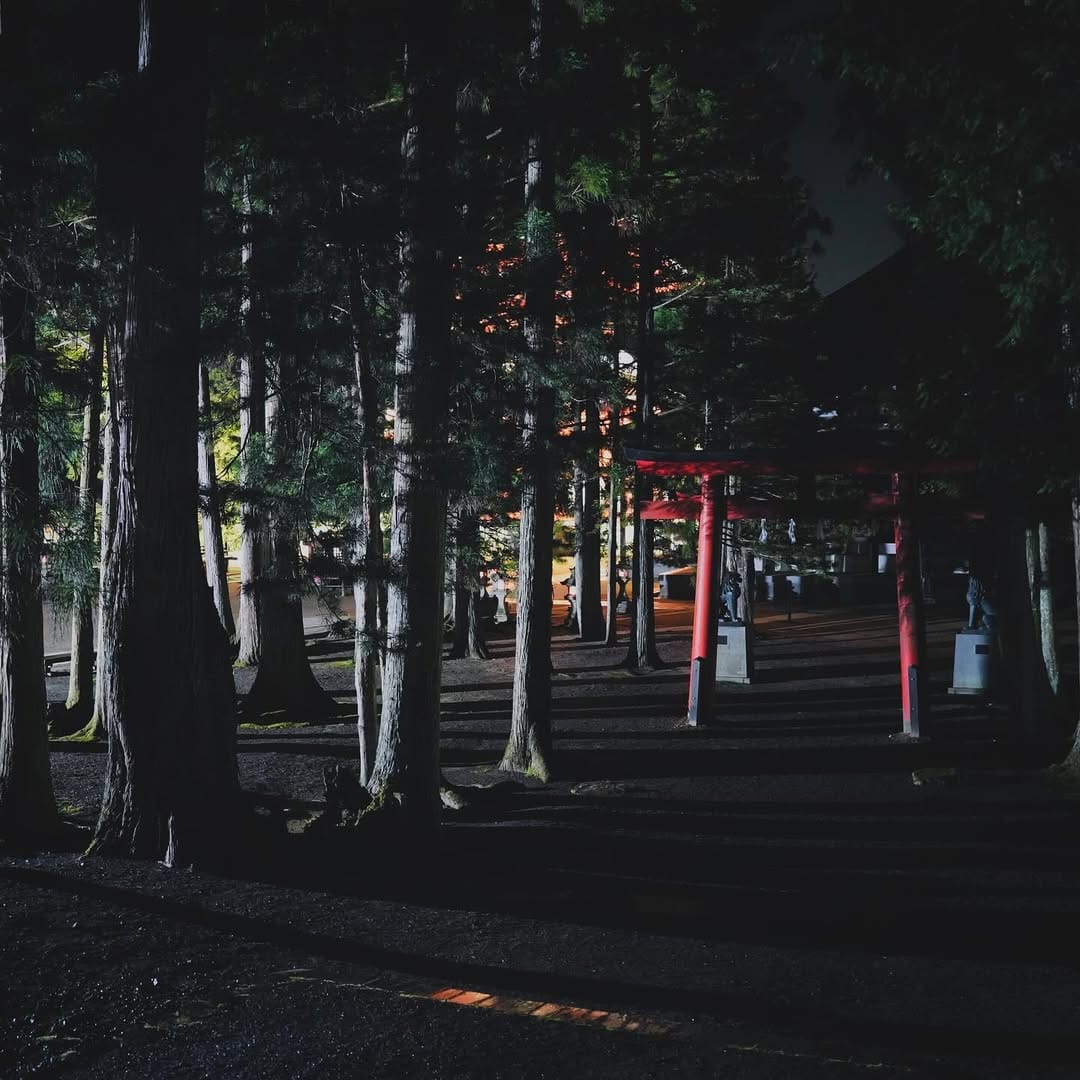 Post 4 by 高野山ぐらむ⛰ 𝓚𝓸𝔂𝓪𝓼𝓪𝓷 𝓰𝓻𝓪𝓶 on Instagram (image)