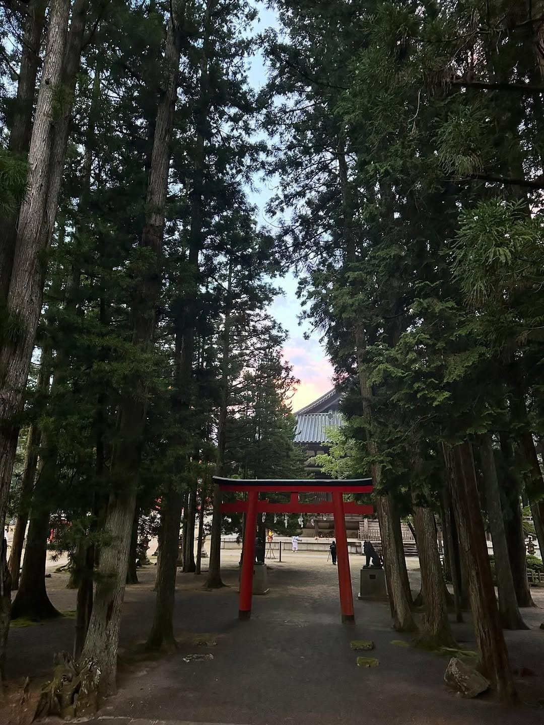 Post 5 by 高野山ぐらむ⛰ 𝓚𝓸𝔂𝓪𝓼𝓪𝓷 𝓰𝓻𝓪𝓶 on Instagram (image)