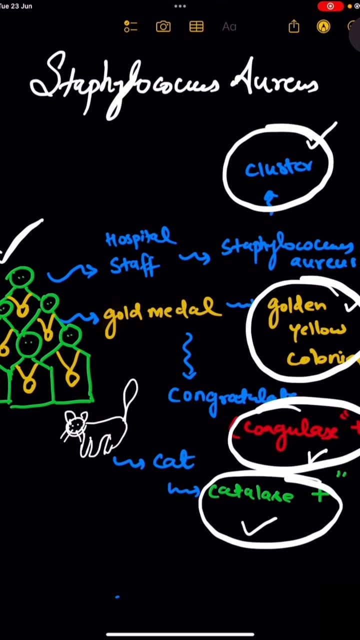 Post 7 by Dr arshil zia | MBBS on Instagram (video)