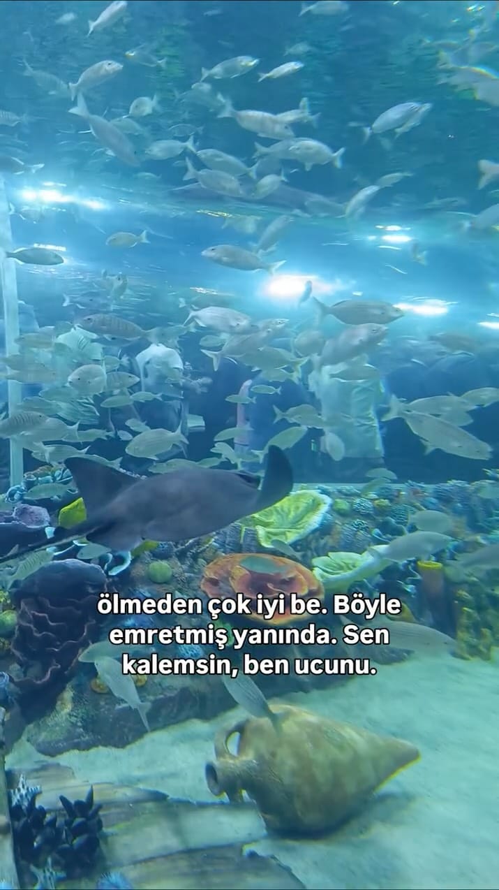 Post 2 by Kızımlakesifteyiz on Instagram (video)
