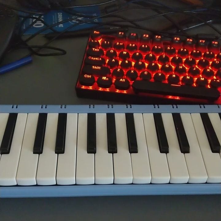 Post 7 by Wine on Instagram (video)