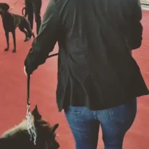 Post 10 by Azerbaycan  🇦🇿🇹🇷Turkiye on Instagram (video)