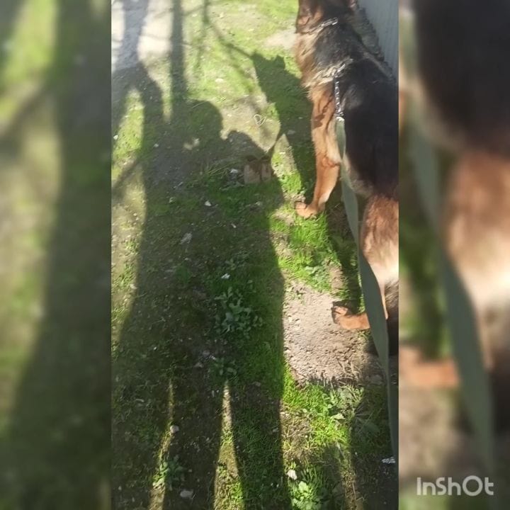 Post 2 by Azerbaycan  🇦🇿🇹🇷Turkiye on Instagram (video)